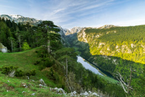 Europe, Montenegro, Žabljak Municipality, Dumitor National Park, Sušičko jezero Europe, Montenegro, Žabljak Municipality, Dumitor National Park, Sušičko jezero